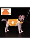 Night Vision Reflective Fabric Velcro Dog Vest Medium