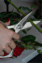 مقص مطبخ ومنزل احترافي 21 سم - 3