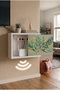 Aesthetic Durable Natural Wood Wall Mounted Board Concealer Cable Organizer Router Hider