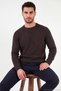 Cotton Regular Fit Crew Neck Sweater Men's Sweater 7020263 - 5