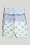 3 Pack Floral Short Briefs