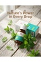 Peppermint (essential) oil 20 ml - 2