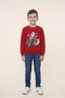 Boy's Christmas Sweatshirt Long Sleeve Printed 2 Thread Fleece Embroidered
