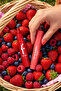 Lip & Cheek High Pigmented Creamy Semi-Matte Finish Crayon - 7