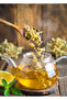 8-Piece Advantage Super Meet & Greet Package (Linden - Bay Leaf - Hazelnut - Flax - Hibiscus - Quinoa - Chia - Sunflower Seeds) - 3