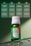 Pure Orange Peel Essential Oil 10 ml (Orange Peel) - 3