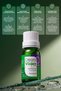 زيت البنفسج العطري النقي 10 مل (بنفسجي) - 3