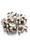 Mizan 350 Gr Elvan Sugar with Cocoa - 3