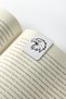 1903 Eagle 3-Piece Magnetic Bookmark Set - Licensed Original - 3