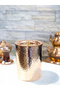 Copper Tea Canister Hammered Forged Model Shiny Copper Color - 4