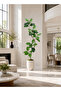 180cm Green Diamond Fake Plant, Large Leaf Green Diamond