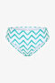 Biana Green Zigzag Pattern Hipster Bikini Bottom - 5