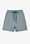 Men's Green Tissue Striped Shorts - 4