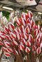 Christmas Ornament Conical Branch Red White 60 cm
