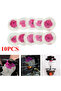 70mm 10pcs 50mm/100mm Gas Lantern Mantles Kerosene Gas Lamp Cover Durable Mesh Camping Lamp Pressure