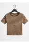 Milky Coffee Stretchy Ribbed Fabric Crew Neck Short Sleeve Slim Fit Crop Blouse with Necklace Gift