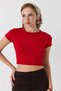 Red Stretchy Textured Crew Neck Backless Short Sleeve Cropped Knitted Blouse