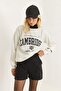 White Woven Three-Thread Raised Crew Neck Regular Straight Cut Printed Sweatshirt - 3