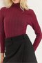 Burgundy Stretchy Knitwear Fabric Turtleneck Long Sleeve Slim Fit Self-Patterned Knitted Sweater - 5