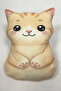 Double-Sided Printed Filled Cute Character Soft Sleeping Companion Pillow Cushion Children's Room 25X40 cm - 5
