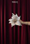 Christmas Ornament Ponsetya Glitter Champagne 32 cm