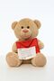 Lover's Special Gift Letter Teddy Bear 45 cm - 7