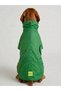 Bnt-Rc2508 Dog Outfit Raincoat Green - 2