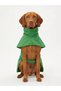Bnt-Rc2508 Dog Outfit Raincoat Green