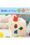 MDT MSK SHAPE SORTING CUBE - 5