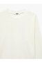 Regular Fit Long Sleeve Crew Neck Basic Sweatshirt - 3