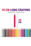 Wax Crayons, 10cm size 24 Colors, Art & Coloring Set with 2 Free Coloring Books, Portable Carry Case, Creative Drawing Supplies - 5