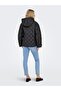 Women's Spread Collar Button Closure Jacket - Juliet - 4