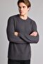 Men's Sweater C8814Ax/Ar184 Anthra