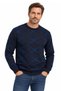 Men's Crew Neck Patterned Sweater