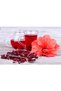 Set of 3, Red Tea Hibiscus Seeds, Hibiscus, Okra Flower, Mecca Rose, Kerkede, Aromatic Hibiscus and Perlite and Vermiculite - 3