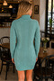 Women's Long Sleeve Turtleneck High Neck Front Back Hairnet Thessaloniki Knit Patterned Links Detailed Stylish Elegant Casual Mint Knitwear Mini Tunic Dress - 3