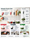 3-Piece Practical Brush Set - Bathroom, Sink and Dish Brush Set - Separate Brush for Bathroom and Dish - 5