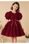 Girl's Floral Textured Balloon Sleeve Bow Dress