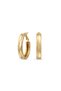 Steel Ring Medi Icon Earrings
