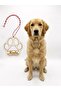 Personalized Dog Name Paw Ornament – Custom Wooden Pet Memorial & Room Wall Sign