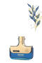 12 قطعة Radiant Fresh Spice عطر 100مل - 2