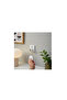 Grillplats Smart Power Socket, White, Without Remote Control - 2