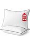 Luxury Hotel Quality Pillows Pack of 2 - Premium 3D Microfiber Filling with Breathable Cover - Best for Side, Back and Stomach Sleepers - Orthopedic Bed Pillow (2, King)