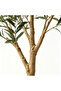 242cm 8ft Artificial Olive Tree with White Planter, Realistic Faux Potted Tree, Low Maintenance, Adjustable Branch, Indoor Decoration - 5