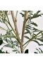 182cm Artificial Olive Tree - Home Decor - 7