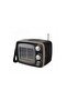 Portable Hi-Fi Speaker with Bluetooth, FM Radio, USB, TF Card & Rechargeable Battery