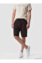 Southblue Brown Regular Fit Men's Shorts