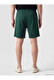 Xside Green Regular Fit Men's Shorts - 4