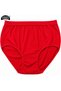 Silver Women's Cotton Camisole Bato Panties 5-Piece Colorful Pack - 2