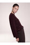 Lcw Everyday Women's Plum Crew Neck Stone Knit Sweater